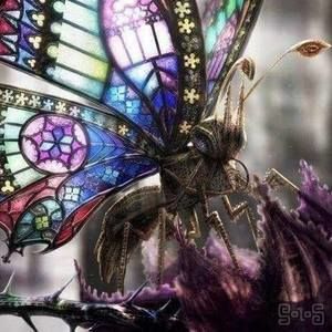 Meet your Posher, Bobbi